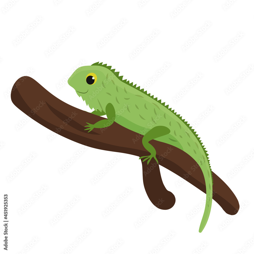 Fototapeta premium Cute funny iguana on a branch. White background. Vector image in cartoon flat style. 