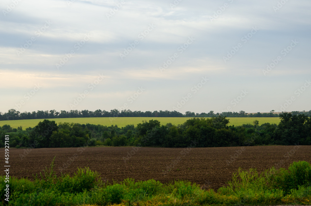 spring agricultural landscape with field of land, and deep blue sky, farm, tillage