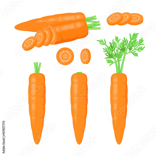 A set of ripe carrots on a white background. Whole and chopped vegetables.