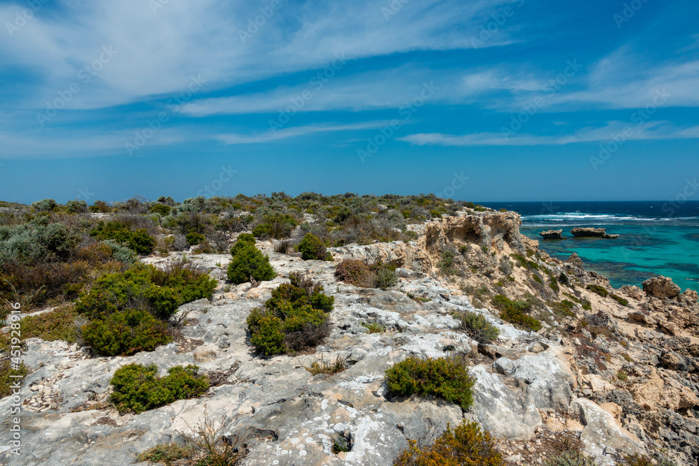 クオッカで有名なオーストラリア・パースのロットネスト島を観光している風景 A view of sightseeing on Rottnest Island in Perth, Australia, famous for its quokka. クオッカで有名なオーストラリア・パースのロットネスト島を観光している風景 A view of sightseeing on Rottnest Island in Perth, Australia, famous for its quokka.