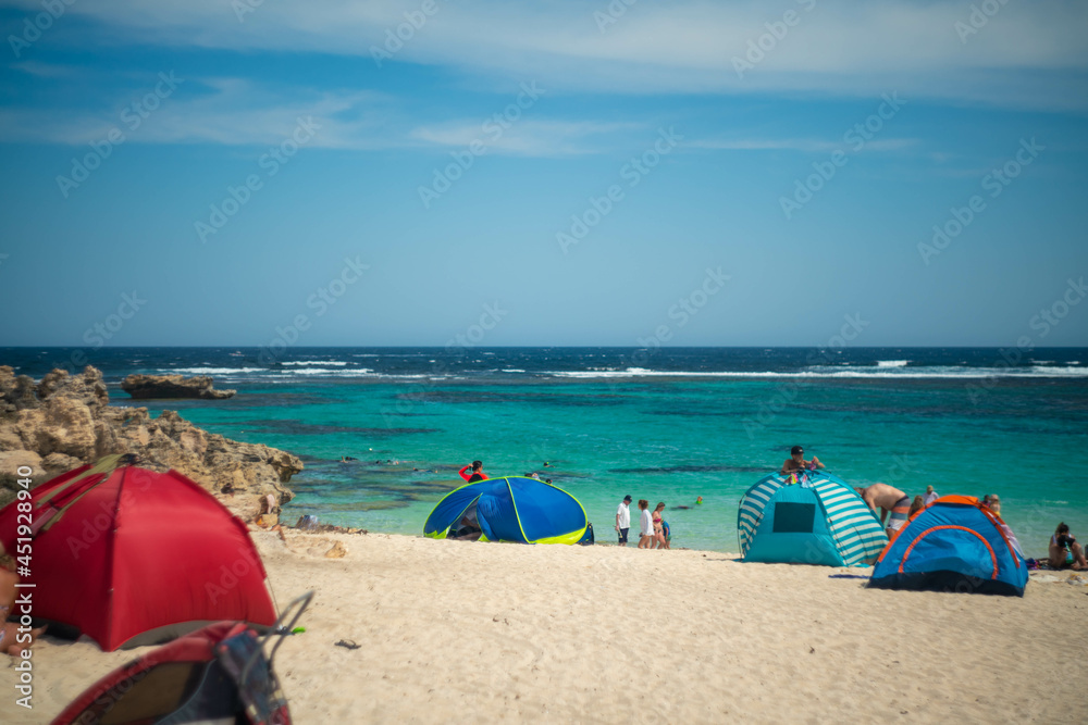 クオッカで有名なオーストラリア・パースのロットネスト島を観光している風景 A view of sightseeing on Rottnest Island in Perth, Australia, famous for its quokka. クオッカで有名なオーストラリア・パースのロットネスト島を観光している風景 A view of sightseeing on Rottnest Island in Perth, Australia, famous for its quokka.