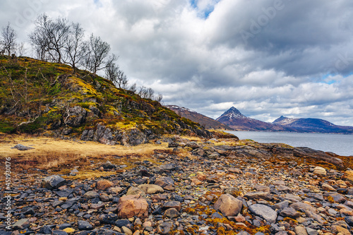 The Fjordbotn on Senja Island in Norway photo