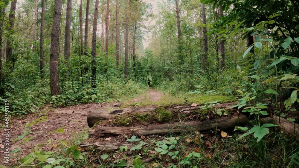 Bicyclist jumping on springboard step down gap at mountain bike back view in slow motion