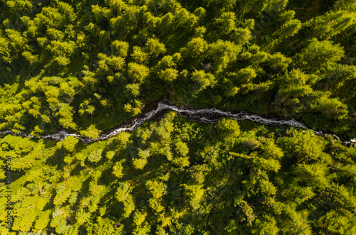 Torrente di montagna nel bosco con pini dal drone, Trentino, Pejo