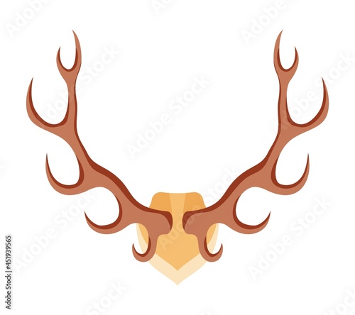 Deer antlers are a hunter trophy in cartoon style. Horns. Vector illustration.