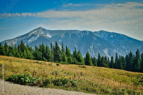 Wandern auf dem Raxplateau in Niederösterreich mit Blick zum Schneeberg - sommerliche Landschaft mit Berg, Fels, Gipfel, Wanderweg und blauem dramatisch bewölktem Himmel