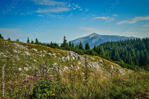 Wandern auf dem Raxplateau in Niederösterreich mit Blick zum Schneeberg - sommerliche Landschaft mit Berg, Fels, Gipfel, Wanderweg und blauem dramatisch bewölktem Himmel photo