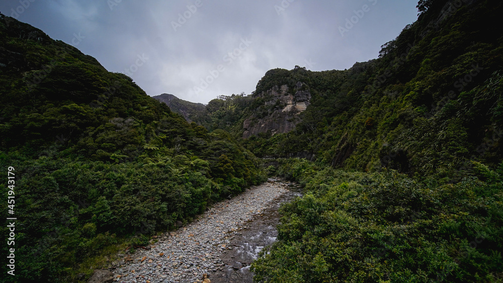 New Zealand Majestic Misty Landscape