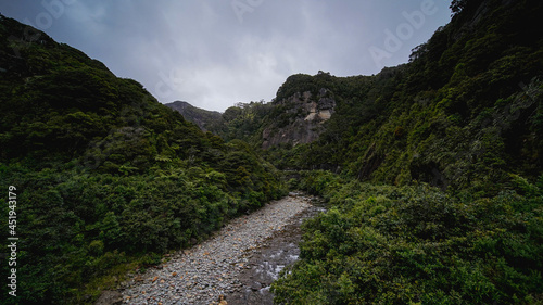 New Zealand Majestic Misty Landscape