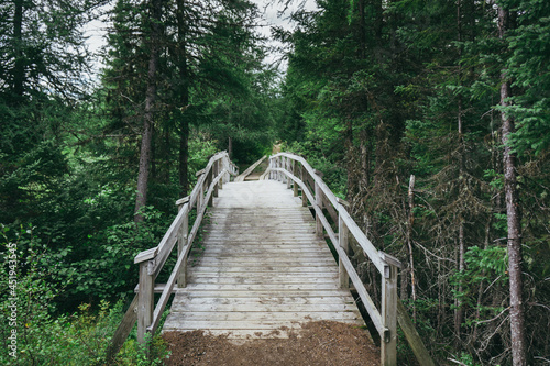 De la Tour hiking trail in Parc National des Grands Jardins, a national park of Charlevoix, in Quebec province (Canada)