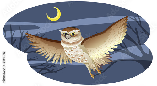 Owl bird in flying pose at night