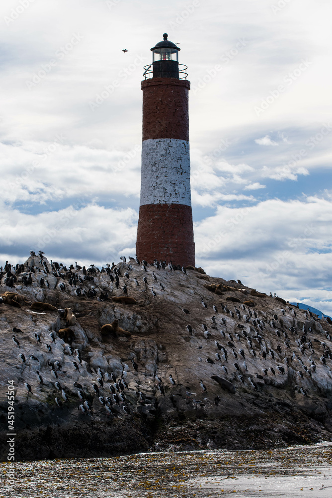 Bird Island in the Beagle Channel near the Ushuaia city. Ushuaia is the capital of Tierra del Fuego province in Argentina. Place full of birds and pinguin next to a lighthouse.