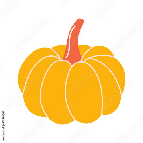 Hand-drawn vector pumpkin. Autumn harvesting concept.