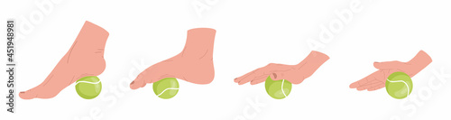 Set of myofascial release exercises for hands and  feet. Rehabilitation workout on tennis ball. Vector illustration.