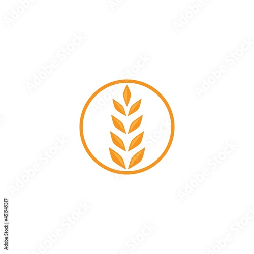 Wheat illustration design