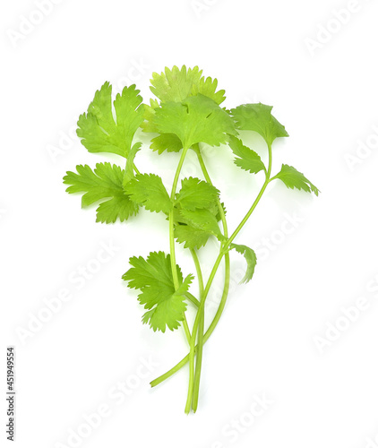 Top view of  celery isolated on white background