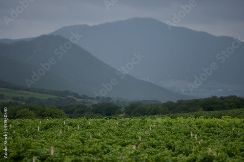 Dramatic mountain landscape. Vineyards in the mountains. Bad weather, thunderclouds in the sky