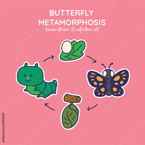 Cute and Kawaii Butterfly Metamorphosis Sticker Illustration Set from egg, caterpillar, chrysalis in to butterfly photo