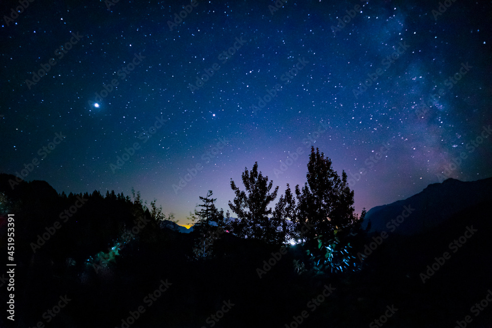 Naklejka premium starry forest night sky