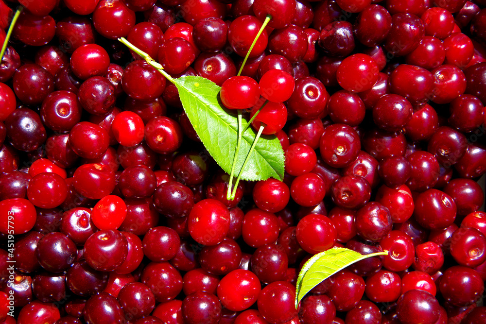 Cherry background. Ripe red cherry with green leaves. Cherry background. Ripe red cherry with green leaves.