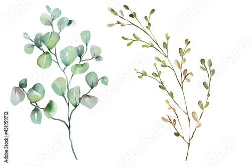 Watercolor florals greenery, branch, twig illustration.