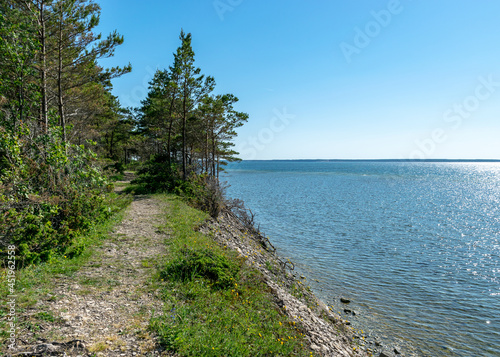 Fototapeta Naklejka Na Ścianę i Meble -  coastal sea view from Panga cliff, blue sky and sea, summer, beautiful view of wild romantic coastal cliff landscape at the Baltic Sea at Tagalaht Bay, Saremma Island, Estonia