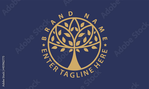 Tree vector logos. Nature trees vector illustration logo design, gold leaf