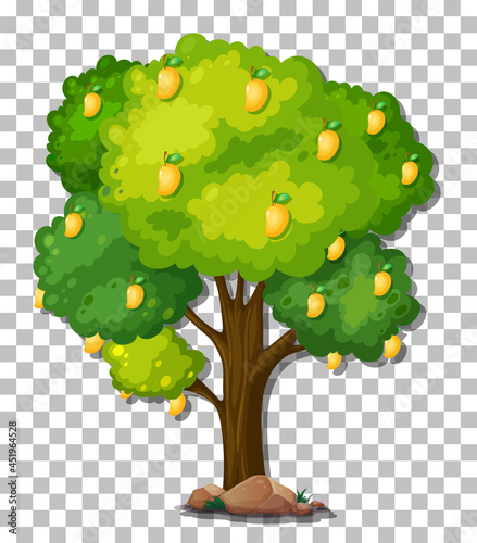 Mango tree on transparent background
