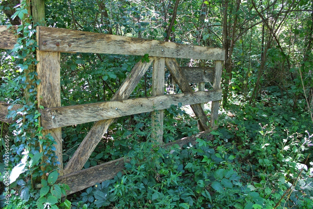 Traditional wooden fence gate in the wild woods