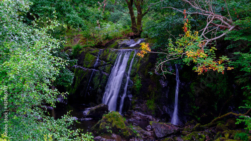 Small waterfall flowing into Loch Awe near Ardchonnel, Scotland