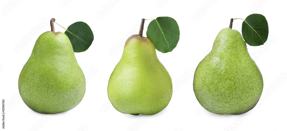 Set with tasty ripe pears on white background. Banner design Set with tasty ripe pears on white background. Banner design