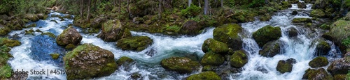 Panorama Wild-Bach im Wald