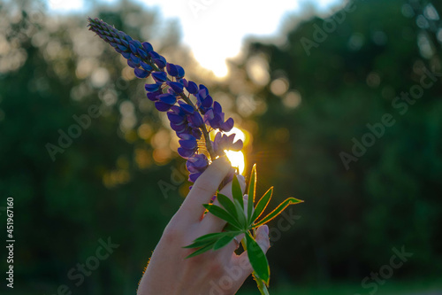 a walk in the countryside