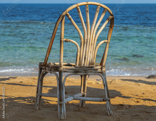 beautiful details on the background of the Red Sea