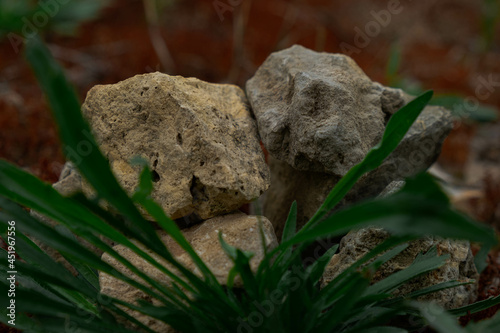 ordinary stones just lie in the grass