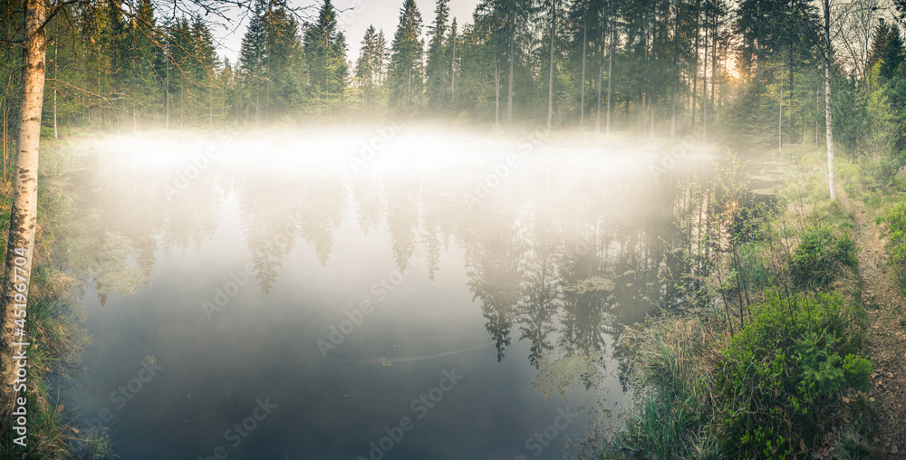 Fototapeta premium Panorama Nebel über dem Wald-See
