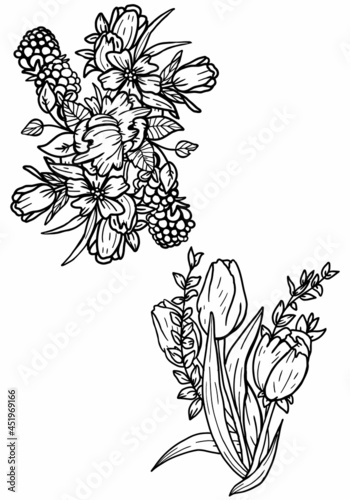 Set of graphic flowers and vegetation with leaves and petals, beautiful drawn bouquets with tulips and berries, isolated silhouettes of gentle plants, summer nature element without a background.