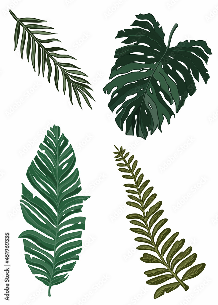 Set drawn of tropical vegetation, color graphic leaves and deciduous branches, isolated green silhouettes of plants close-up, beautiful, spring or summer nature element without a background.