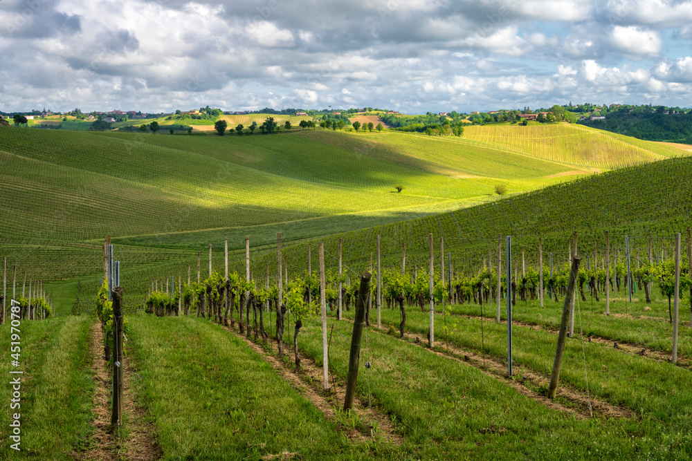 Fototapeta premium Landscape of Monferrato near Calliano at springtime
