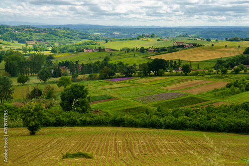 Vineyards of Monferrato near Calliano at springtime
