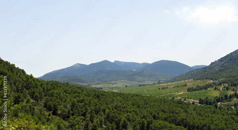 Panorama view of Sierra Espuña during a sunny day, from the full of green trees Castellar Mountain, in Murcia. 
