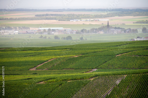 Landscape with green grand cru vineyards near Epernay, region Champagne, France in rainy day. Cultivation of white chardonnay wine grape on chalky soils of Cote des Blancs.