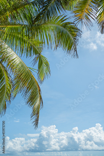 The best photo frame coconut trees on beach.Amazing palms on island blue sky and clouds background. 