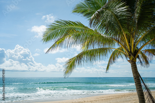 Fototapeta Naklejka Na Ścianę i Meble -  Beautiful Photo frames palms to blue sky island.Amazing coconut trees on sun light and clouds background.