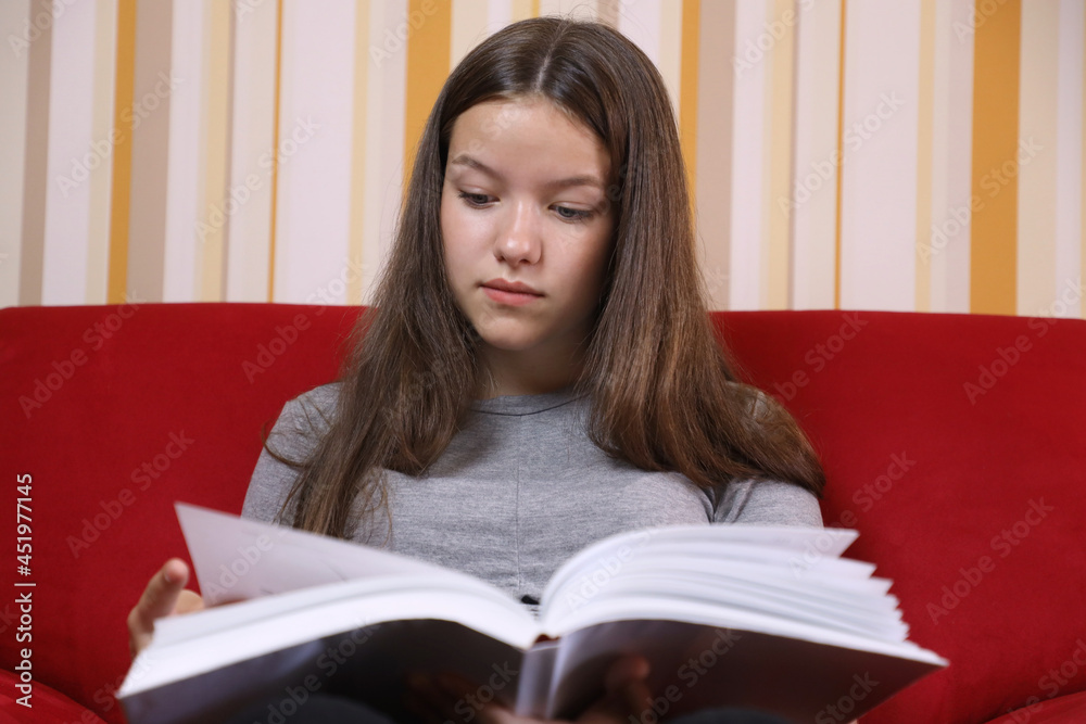 attractive teen girl reading a book at home on the couch attractive teen girl reading a book at home on the couch