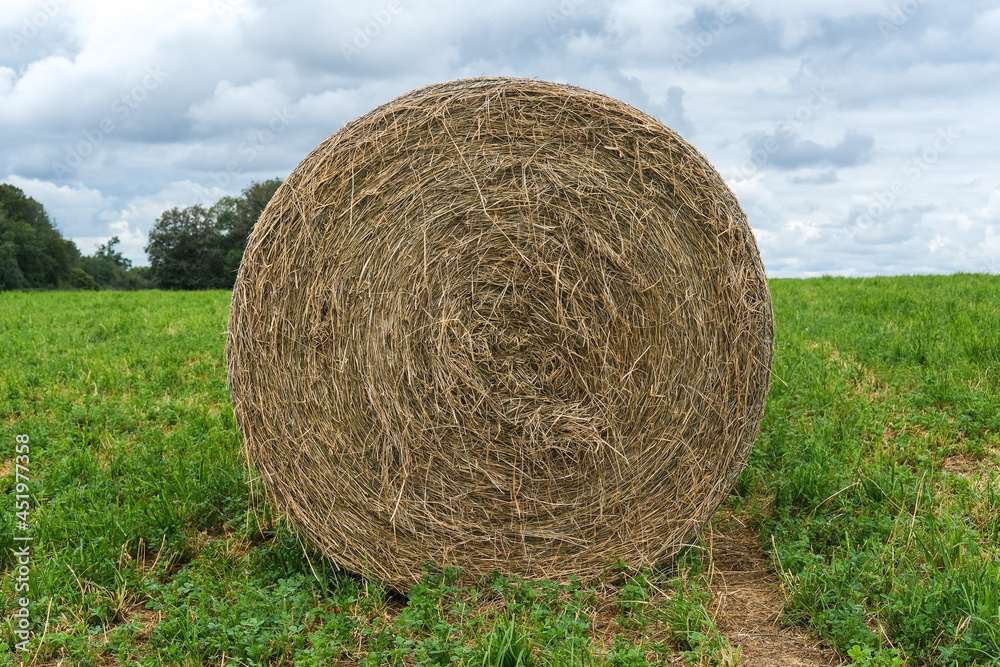 Bale of straw in a field after the harvest
Bale of straw in a field after the harvest