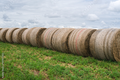 Bale of straw in a field after the harvest 