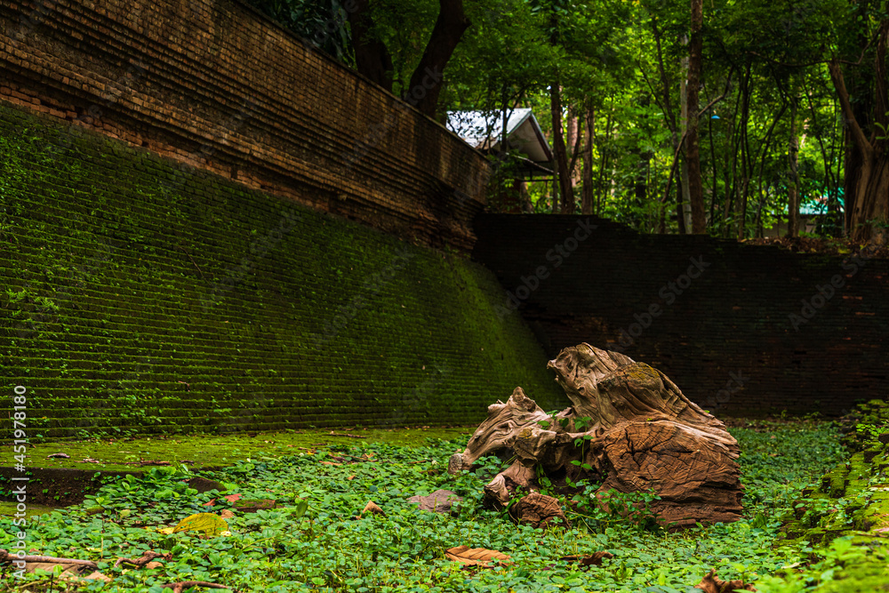 Wat Umong Suan Puthatham is a Buddhist temple in the historic centre and is a Buddhist temple is a major tourist attraction with green forest nature in Chiang Mai,Thailand. Wat Umong Suan Puthatham is a Buddhist temple in the historic centre and is a Buddhist temple is a major tourist attraction with green forest nature in Chiang Mai,Thailand.