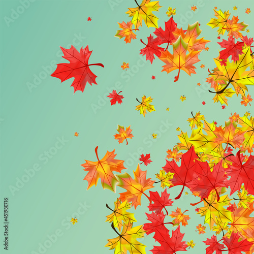 Yellow Plant Background Green Vector. Leaf Tree Frame. Red Decoration Foliage. Ground Floral Design.