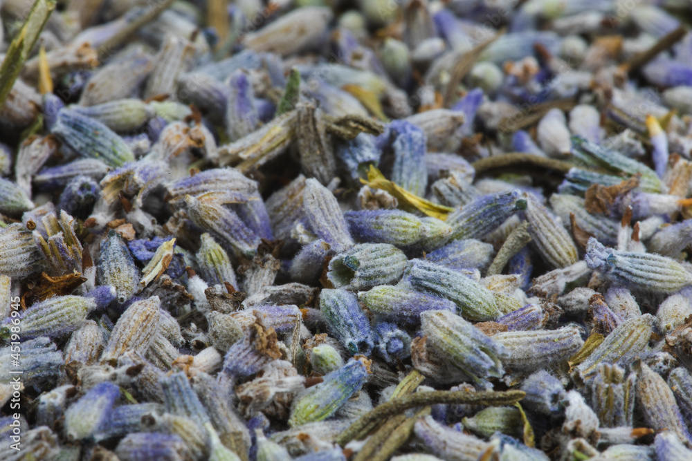 Dry or dried lavender flowers background texture. Dry or dried lavender flowers background texture.
